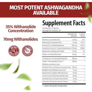 1 Body Ashwagandha Complex with Shoden® – Clinically Supported Stress Relief, Sleep, and Energy Support – Vegan, Non-GMO Supplements – 60 Capsules