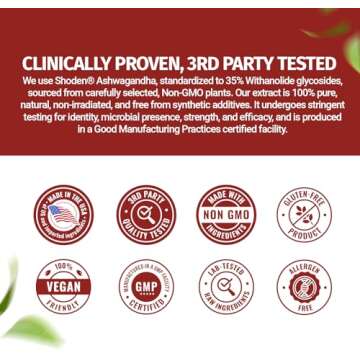 1 Body Ashwagandha Complex with Shoden® – Clinically Supported Stress Relief, Sleep, and Energy Support – Vegan, Non-GMO Supplements – 60 Capsules