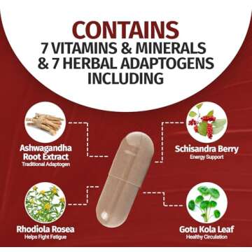 1 Body Ashwagandha Complex with Shoden® – Clinically Supported Stress Relief, Sleep, and Energy Support – Vegan, Non-GMO Supplements – 60 Capsules