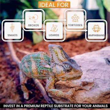 ReptiChip Compressed Coconut Chip 3 Pack of 72 Quart Coco Husk Reptile Substrate Snake Bedding for a Tortoise, Ball Python, Gecko, or Lizard Habitat Terrarium Tank