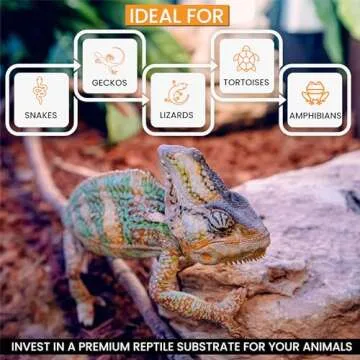 ReptiChip Compressed Coconut Chip 3 Pack of 72 Quart Coco Husk Reptile Substrate Snake Bedding for a Tortoise, Ball Python, Gecko, or Lizard Habitat Terrarium Tank