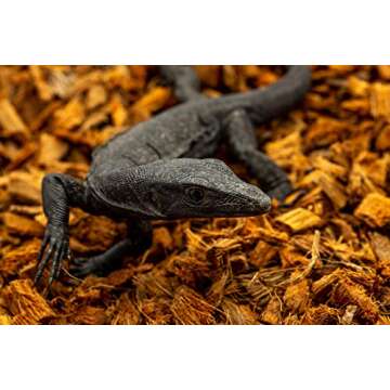 ReptiChip Compressed Coconut Chip 3 Pack of 72 Quart Coco Husk Reptile Substrate Snake Bedding for a Tortoise, Ball Python, Gecko, or Lizard Habitat Terrarium Tank