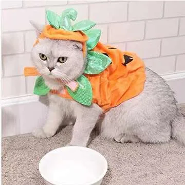 Cute ANIAC Pumpkin Costume for Pets Halloween Fun