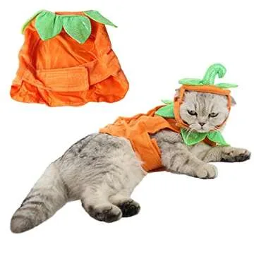 Cute ANIAC Pumpkin Costume for Pets Halloween Fun