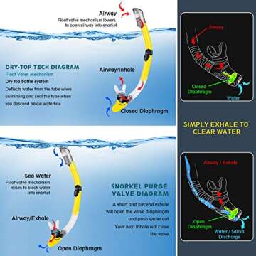 ZEEPORTE Mask Fin Snorkel Set with Adult Snorkeling Gear, Panoramic View Diving Mask, Trek Fin, Dry Top Snorkel +Travel Bags, Snorkel for Lap Swimming