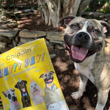 Chippin Soft Dog Treats - Wild-Caught Fish & Pumpkin Jerky