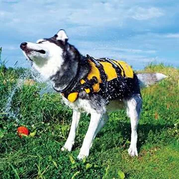 Ezydog DFD Dog Life Jacket - Superior Safety Vest