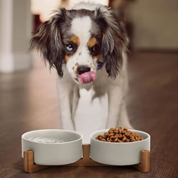 SPUNKYJUNKY Ceramic Bowls with Wood Stand for Pets