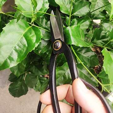 Slim Bonsai Scissors Indoor Gardening Tools Pruning Shears Springsteels Black 8 Inch for Hand Trimming of Flowers Plants
