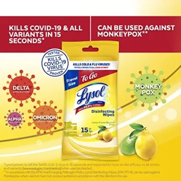 Lysol Travel Wipes for On-the-Go Germ Protection