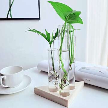 Ivolador Crystal Glass Test Tube Plant Terrarium Flower Pots for Hydroponic Plants Home Garden Decoration (Triangle Wooden Frame)