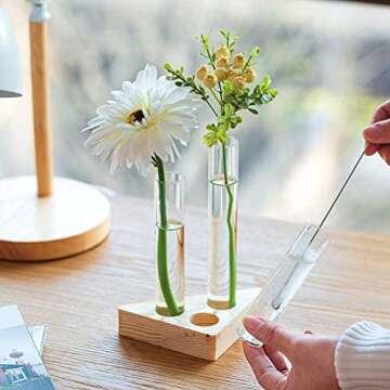 Ivolador Crystal Glass Test Tube Plant Terrarium Flower Pots for Hydroponic Plants Home Garden Decoration (Triangle Wooden Frame)
