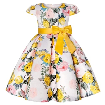 COMISARA Elegant Formal Ball Gown Dresses for Girls 2-9 Years