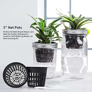 Business King 3 Inch Net Pots for Hydroponics 60 Packs with Plant Labels 60Pcs Heavy Duty Wide Mouth Net Cups Slotted Mesh Pot Garden Supplies (3 inch 60 Packs)