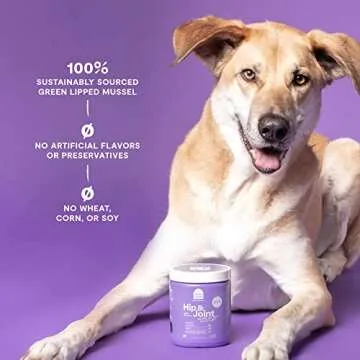 Open Farm Hip & Joint Chews, Dog Supplement, Dog Vitamins, Supports Joint Health and Mobility Using Traceable and Vet-Approved Ingredients, 12.7 oz, 90 Count