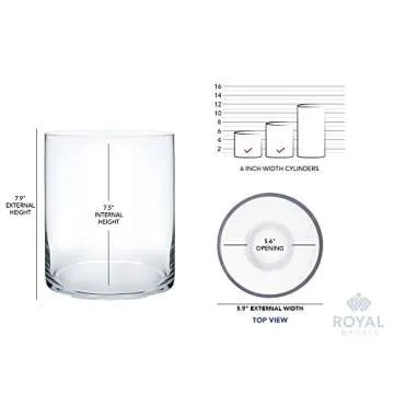 Elegant Royal Imports Glass Vase for Home Decor & Weddings