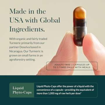 Gaia Herbs, Turmeric Supreme Pain, Herbal Pain Supplement with Curcumins, Vegan Liquid Capsules, 60 Count