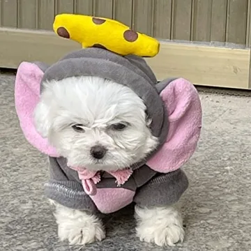 Cute Pet Clothes Hoodie Sweatshirt for Small Dogs and Cats