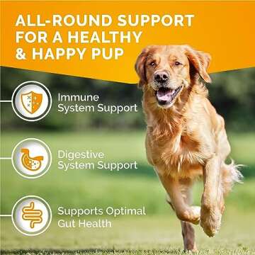 PREMIUM CARE Itch Relief for Dogs - 120 Allergy Chews for Dogs - Anti Itch Seasonal Support for Pets Itchy Skin Relief Skin Health Support with Colostrum, Vitamin C, Omega and Bee Pollen