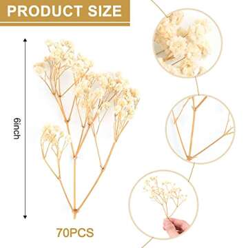 70Pcs Mini Dried Baby's Breath Flowers 4000+Natural Bulk Flowers Real Flowers Pressing Floral Dried ...