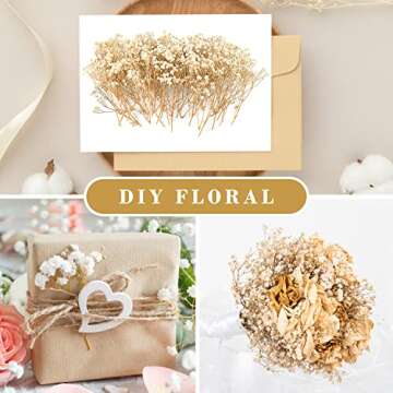 70Pcs Mini Dried Baby's Breath Flowers for Crafts and Decor