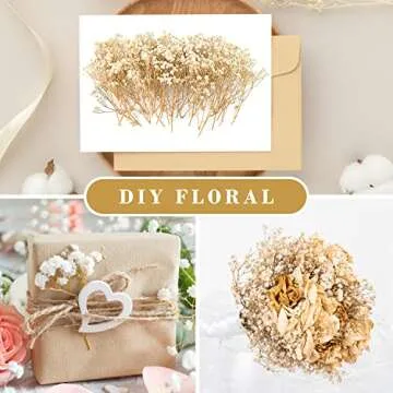 70Pcs Mini Dried Baby's Breath Flowers for Crafts and Decor