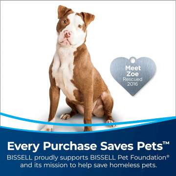 BISSELL 2252 CleanView Vacuum for Pet Hair and More