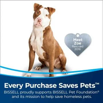 BISSELL 2252 CleanView Vacuum for Pet Hair and More