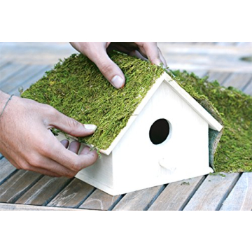 SuperMoss InstantGreen Moss Mat for Creative Projects