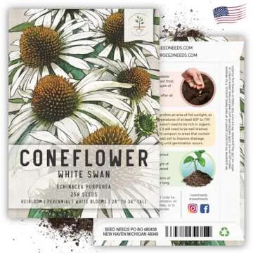 Seed Needs White Swan Coneflower Seeds for Planting Echinacea - Heirloom & Open Pollinated Perennial Flower - Attract Pollinators to a Butterfly Garden (1 Pack)