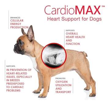 Cardio MAX Heart Support Supplement for Dogs - L-Taurine, L-Carnitine, EPA and DHA, Coenzyme Q10 - Aids Circulatory Strength, Cardiovascular Support, Heart Muscle Function- 60 Soft Chews