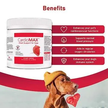 Cardio MAX Heart Support Supplement for Dogs - L-Taurine, L-Carnitine, EPA and DHA, Coenzyme Q10 - Aids Circulatory Strength, Cardiovascular Support, Heart Muscle Function- 60 Soft Chews