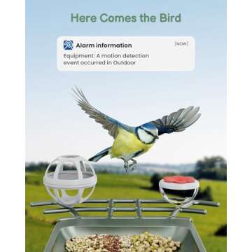 Bird Feeder with Camera Outdoor Solar: Smart Birdfeeder Cam for Outside Garden - 2K HD Live Video Ca...