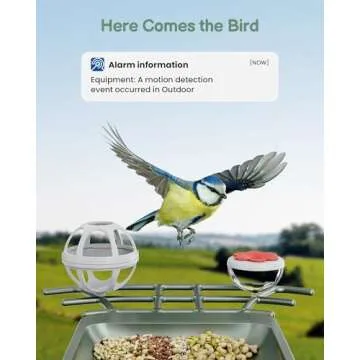 Bird Feeder with Camera Outdoor Solar: Smart Birdfeeder Cam for Outside Garden - 2K HD Live Video Ca...