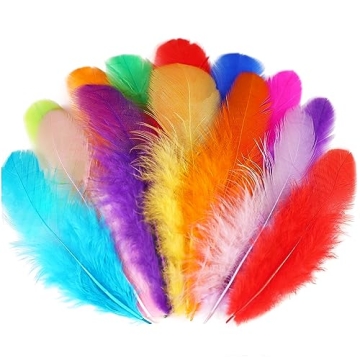 Soarer Colorful Craft Feathers 300pcs for Parties DIY