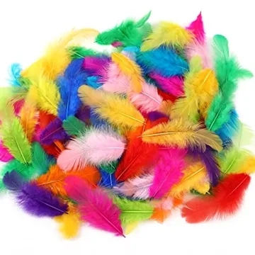 Soarer Colorful Craft Feathers 300pcs for Parties DIY