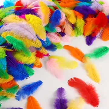 Soarer Colorful Craft Feathers 300pcs for Parties DIY