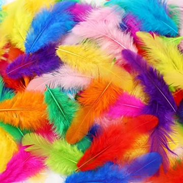 Soarer Colorful Craft Feathers 300pcs for Parties DIY