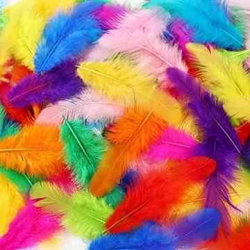 Soarer Colorful Craft Feathers 300pcs for Parties DIY