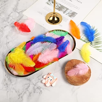 Soarer Colorful Craft Feathers 300pcs for Parties DIY