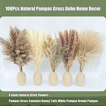 Elegant 100Pcs Pampas Grass for Boho Home Decor