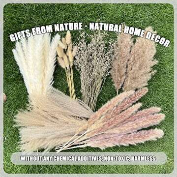 Elegant 100Pcs Pampas Grass for Boho Home Decor