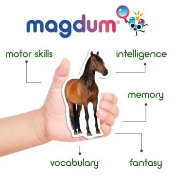 Colorful Educational MAGDUM Fridge Magnets for Toddlers