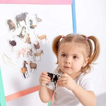 Colorful Educational MAGDUM Fridge Magnets for Toddlers