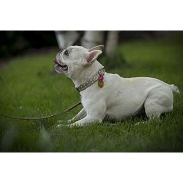 FreezeTag Dog Tag Silencer and Connector, One Size, Graphite