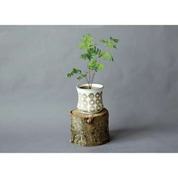 Creative Co-Op White Pot with Circle Print