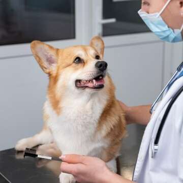 Premium Double Head Pet Tear Comb for Dogs and Cats