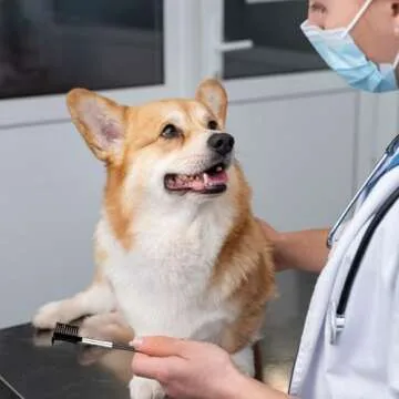 Premium Double Head Pet Tear Comb for Dogs and Cats