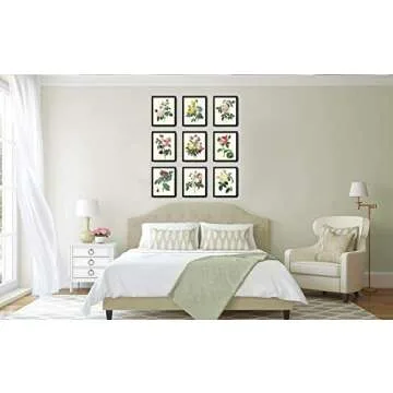 LoveThePrint Beautfiul Shabby Chic Roses Botanical Wall Art Home Decor Print Set of 9 Antique French...