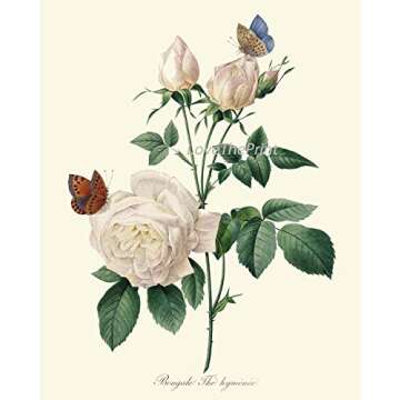 LoveThePrint Beautfiul Shabby Chic Roses Botanical Wall Art Home Decor Print Set of 9 Antique French English Garden Pink Yellow White Nature Large Size Interior Design Floral Gallery Giclee Unframed